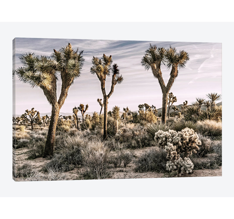 «Joshua Tree Views IX», impression sur toile, H 26 po x l 40 po x P 1,5 po, Pas de tapis, Toile tendue