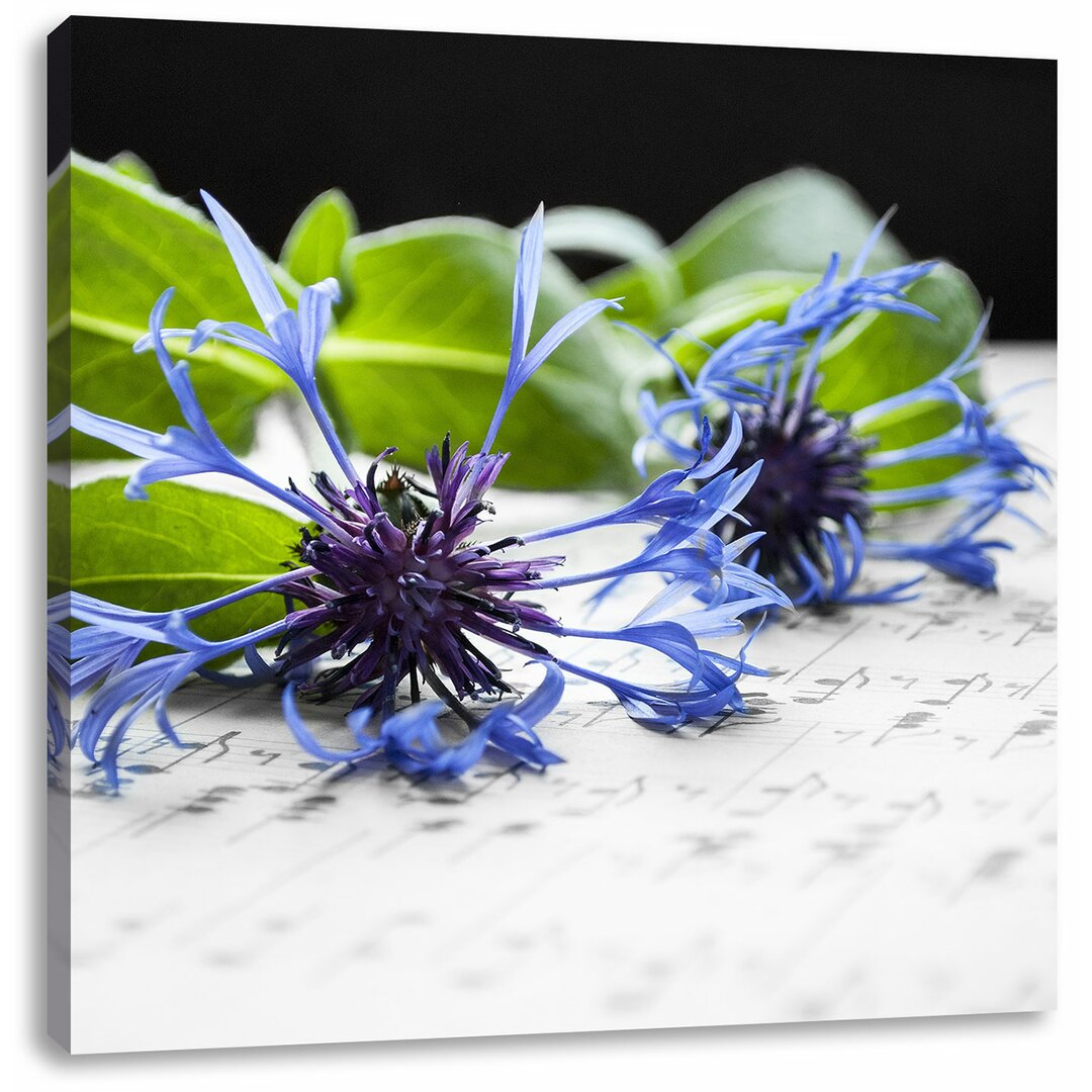 Leinwandbild Handgeschriebenes Notenblatt mit blauer Kornblume