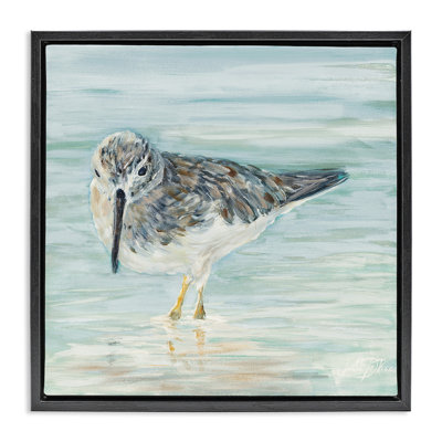 «Sandpiper in Shallow Beach Waters» par Julie DeRice