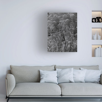 Wrapped Canvas Wall Art - Tony Smith  'Joe Pye Weed' Wall Art for Living Room, Bedroom, or Office Décor  - 24x32