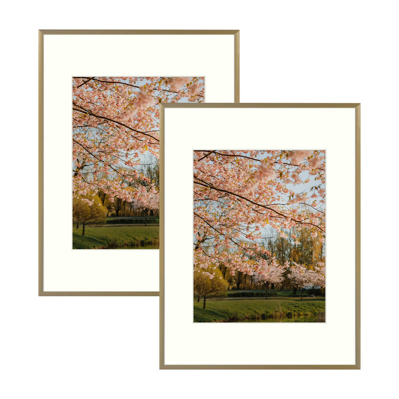 Cadre photo en métal avec passe-partout - Basics by Wayfair ™, 12 po x 16 po emmêlé à 8,5 po x 11 po, Or