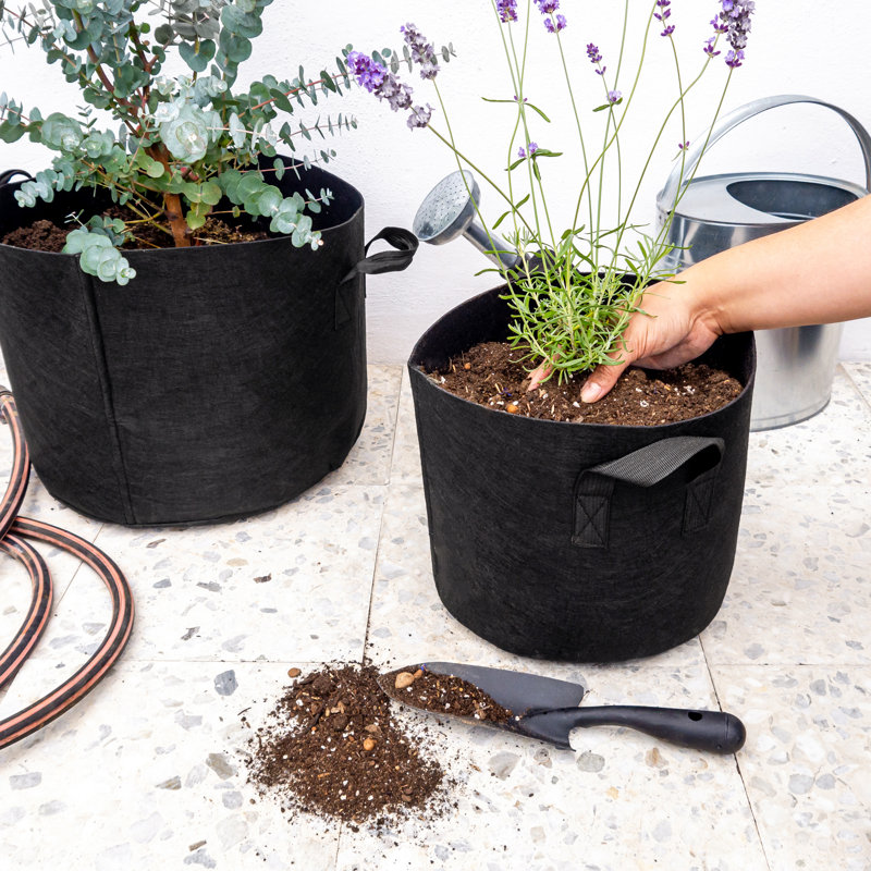 Aaren Pot Planter, 29cm H x 38cm W x 27cm D