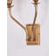 Beverlin Armed Sconce