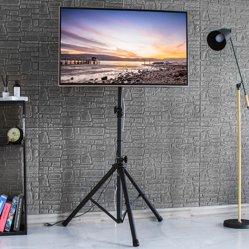 Rfiver Single Screen Electronic Mount