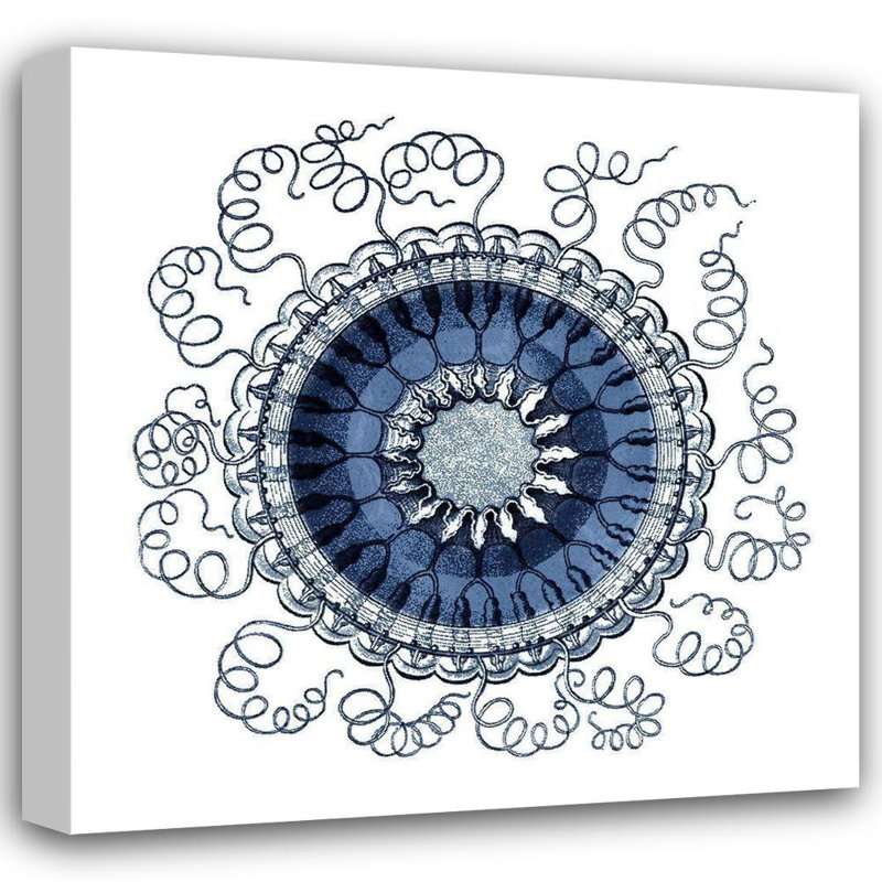 «Bungalow Rose Vision Studio», reproduction d'art sur toile tendue sous le titre «Marine Ocean Gems III», H 28 po x l 28 po