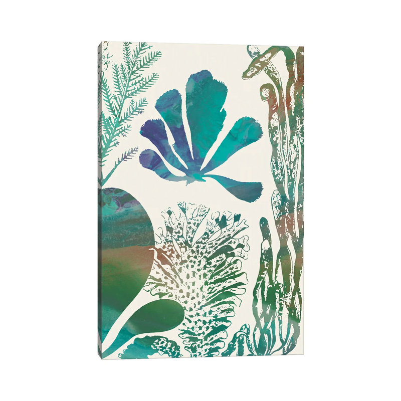 Aquatic Assemblage I by Sharon Chandler - Wrapped Canvas Painting, 101.6 cm H x 66.04 cm W x 1.91 cm D