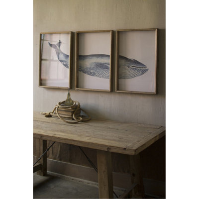 Triptych Framed Whale Print Under Glass