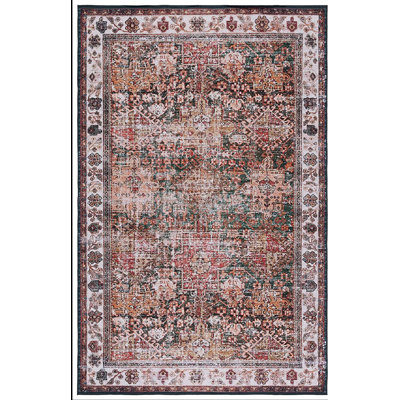 Pashen Performance Machine Washable Oriental Rug