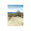 Scene Of Winter II Painting by Derek Shaw-26946401-26946403