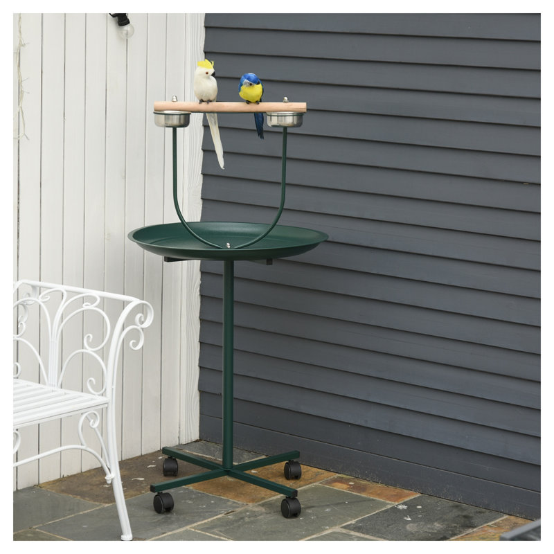 48" Rolling Bird Training Activity Perch Playground For -