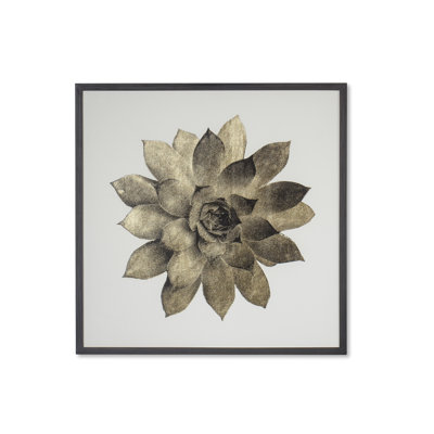 Gold Succulent C Print