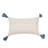 Bray Throw Pillow