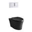 Veil® One-Piece Elongated Dual-Flush Wall-Hung Toilet with Reveal Quiet-Close Seat and 2"X6" In-Wall Tank and Carrier System-13240014