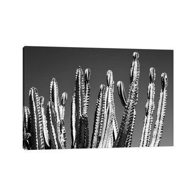 Black Arizona Series - Cactus Top by Philippe Hugonnard - Wrapped Canvas Print