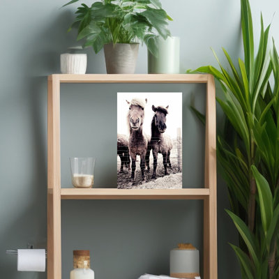Islande, cheval, Asti et Bessa, cheval contemporain abstrait, art mural