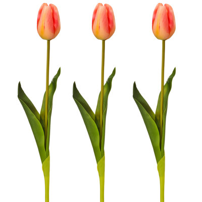 Tulipe Holland 23 "Just Cut