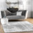 Deedra Modern Abstract Power Loom Performance Gray/White Rug-1615092026