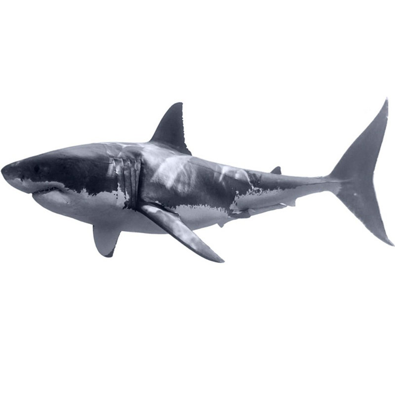 Adhésif décoratif amovible Great White Shark, H 20 po x l 48 po