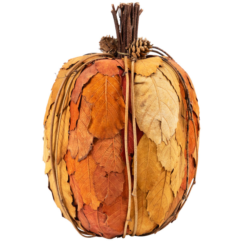 Citrouille de table 9,75 po