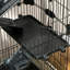 Cage avec rampe Caines Chinchilla-2584866-40463611