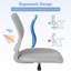 Ebern Designs Task Chair with Wheels-1038382080