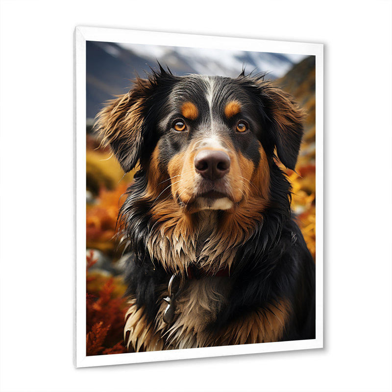 Bernese Mountain Majesty III, H 44 po x l 34 po x P 1,5 po, Cadre simple blanc