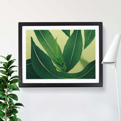Spirited Leaf - Framed Print