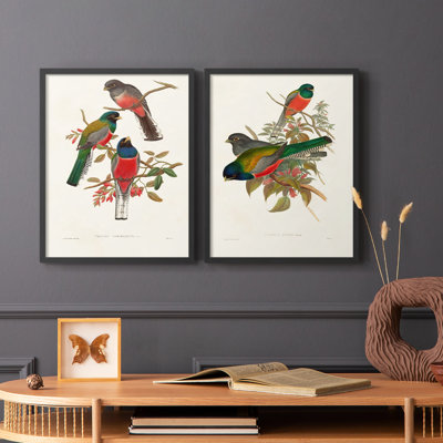 ElegantTrogonsIX-Premium Framed Print -Ready to Hang - No Nails Required - No Nails Required