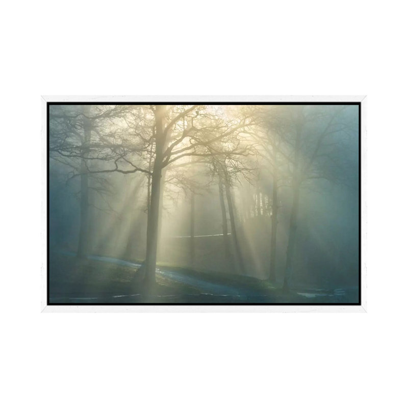 Forest Melody by Ben Heine - Print on Canvas, White Framed, 66.04 cm H x 45.72 cm W