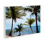 Plaque murale Honduras Daytime Palms, design par Natalie Carpentieri-1959732473
