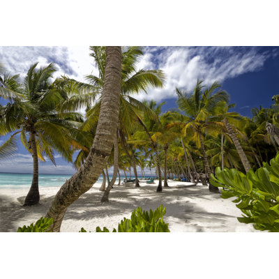 Beautiful Caribbean Beach by Carpe89