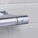 Buzz2 Mixer Shower with Dual Shower Head