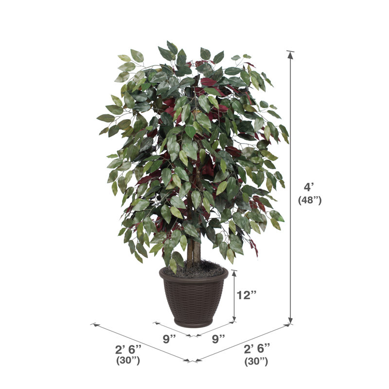 Artificial Capensia Deluxe Potted Tree, Brown