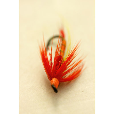 Macro Lure VIII - Wrapped Canvas Print