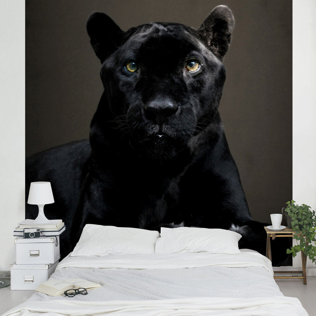 Black Puma 1.92m x 192cm Wallpaper
