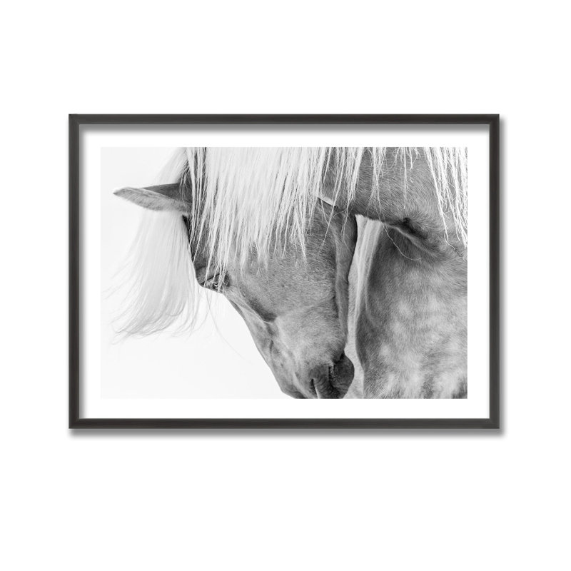 Nature Inspired Halflinger Portrait by  - Picture Frame Photograph on Paper, 32" H x 48" W