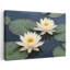 White Water Lilies Contemporary Lily Flower Wall Art-735982058