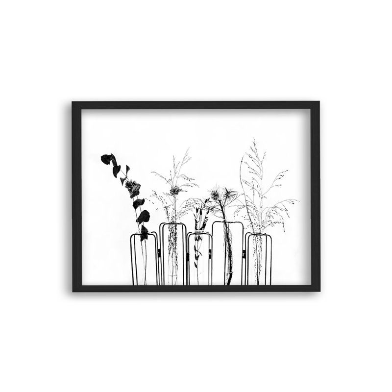 Fleurs noires sur fond blanc - reproduction de photo sur toile, Impression encadrée, Noir, H 10 po x l 14 po