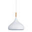 Luminaire suspendu 1 lumière Barbot