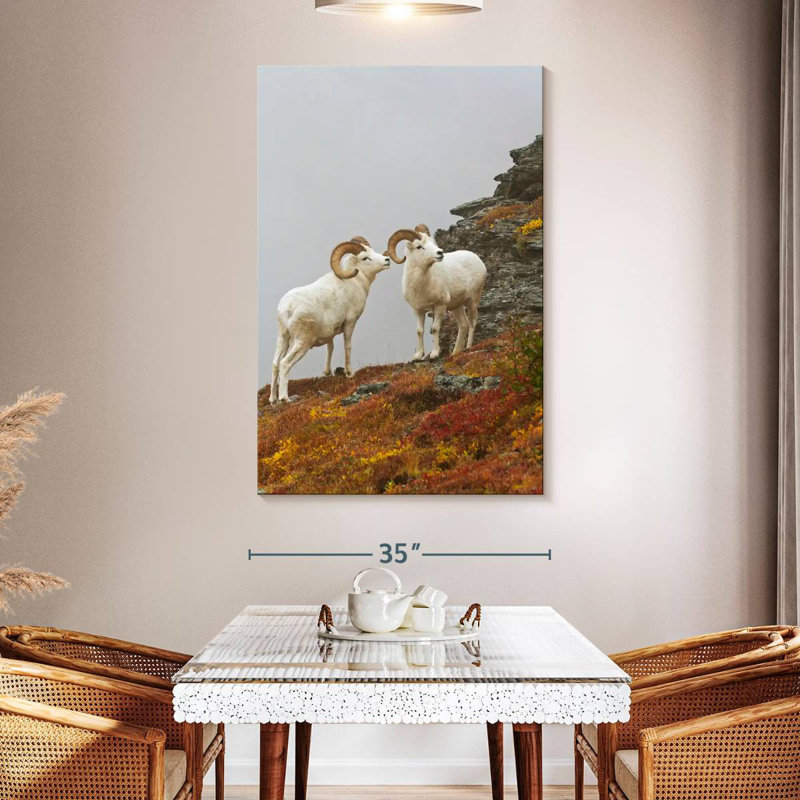 White Bighorn Sheep, 51" H x 34" W