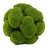Moss Landscape & Nature Vase Filler-11830208