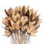 Vickerman Natural Botanicals 20" Lily on Stem. Includes 50 Stems per Pack