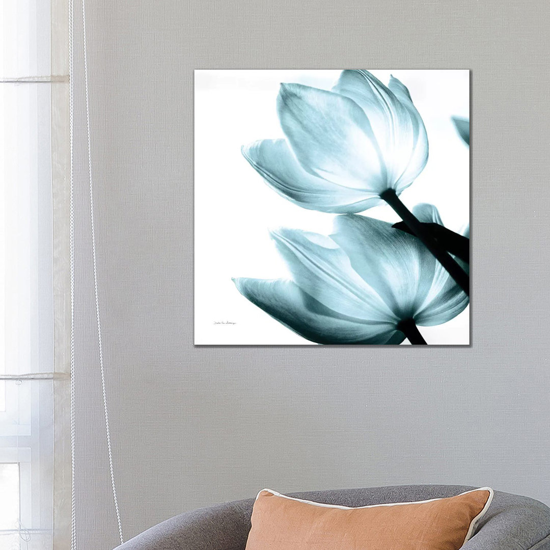 Transluzente Tulpen II in Aqua von Debra Van Swearingen - Galerie-verpackte Leinwand Giclée auf Leinwand