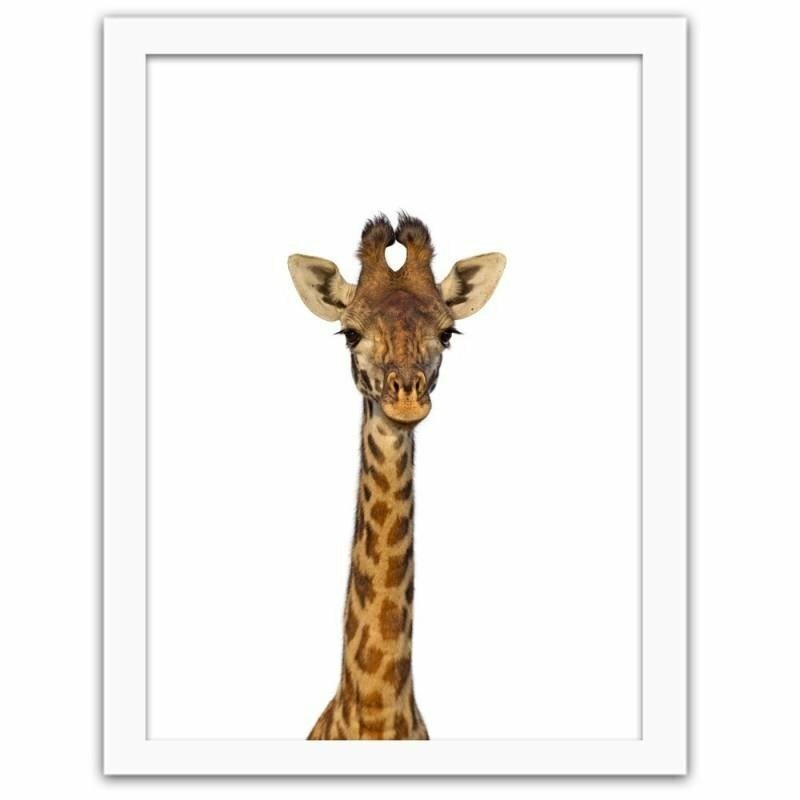 Gerahmtes Poster Giraffe Portrait