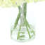 Hortensias disposés dans un vase en verre