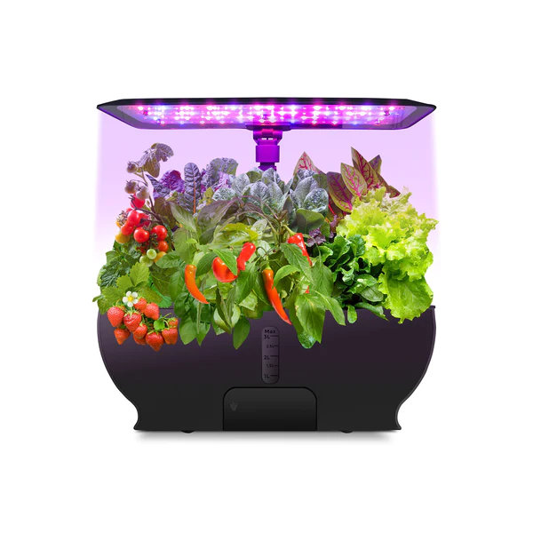 Eco4life Growing Kit