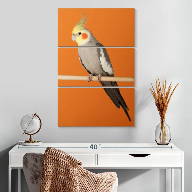 Cockatiel Brampt, H 32 po x l 20 po