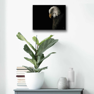 «Eagle Bow» par Nathan Larson