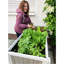 Wood Elevated Planter