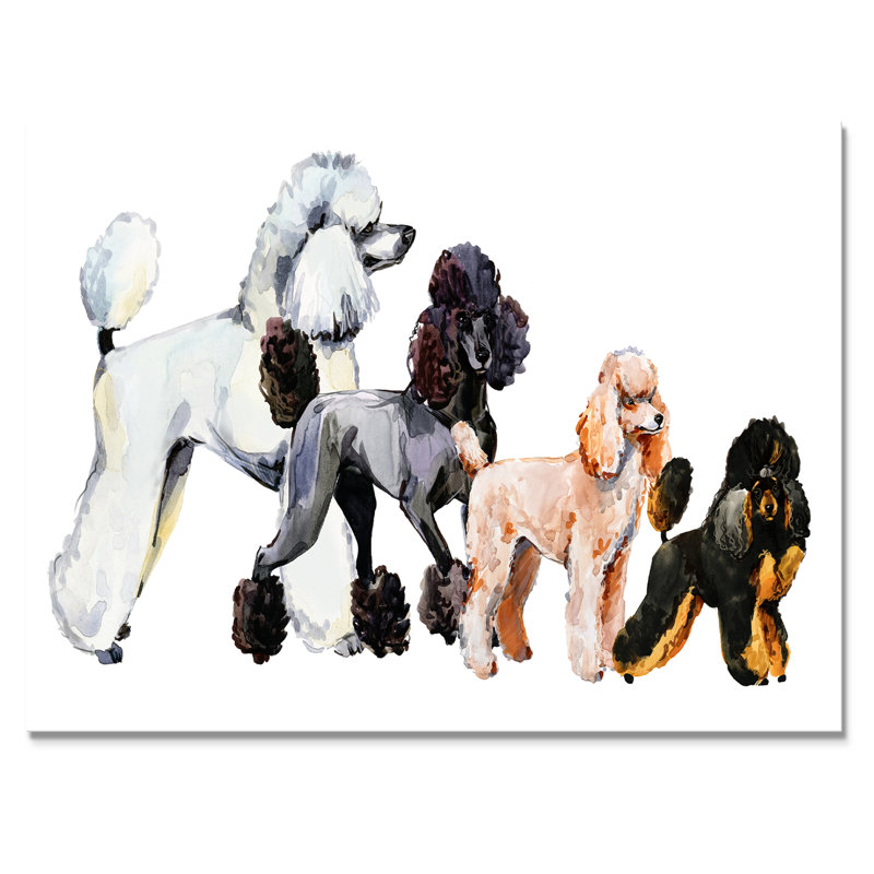 Art mural sur toile caniche, reproduction d'animaux de race de chien - Collection de chiens de race caniche, Toile tendue
